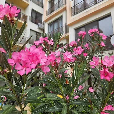 Sannybeach Amberbeach Bulgaria A14-1 * Napospart